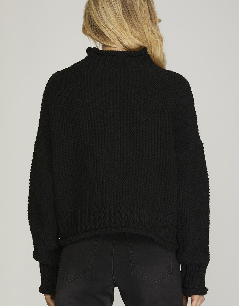 509 Broadway Turtle Neck Basic Sweater
