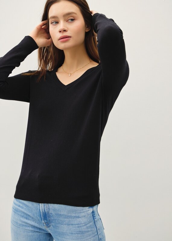 509 Broadway Classic V-Neck Solid Sweater