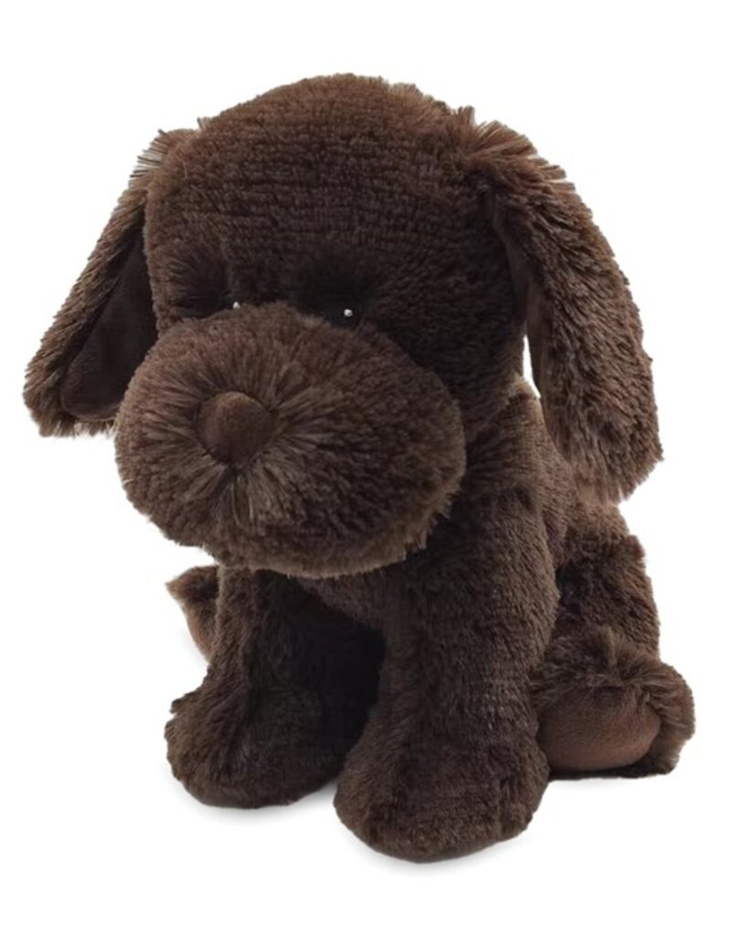 509 Broadway Chocolate Lab Warmies
