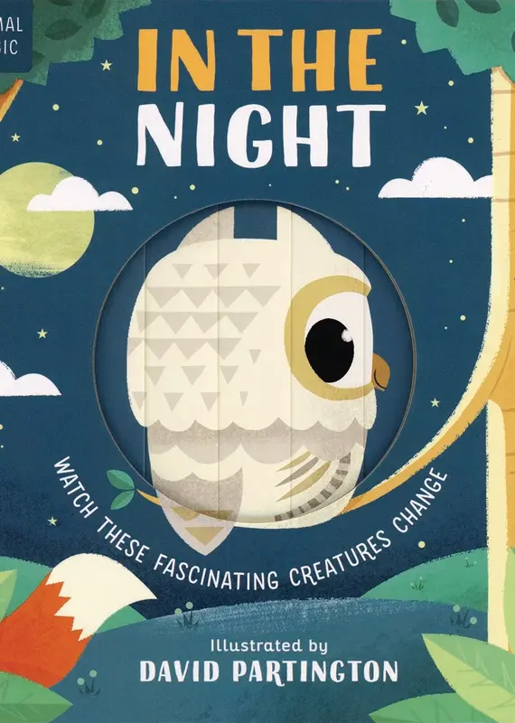 509 Broadway Animal Magic: In The Night