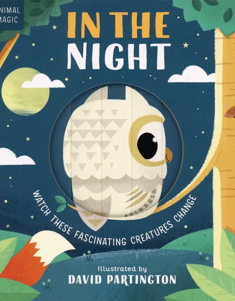 509 Broadway Animal Magic: In The Night