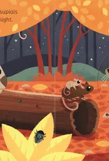 509 Broadway Animal Magic: In The Night