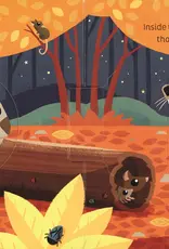 509 Broadway Animal Magic: In The Night