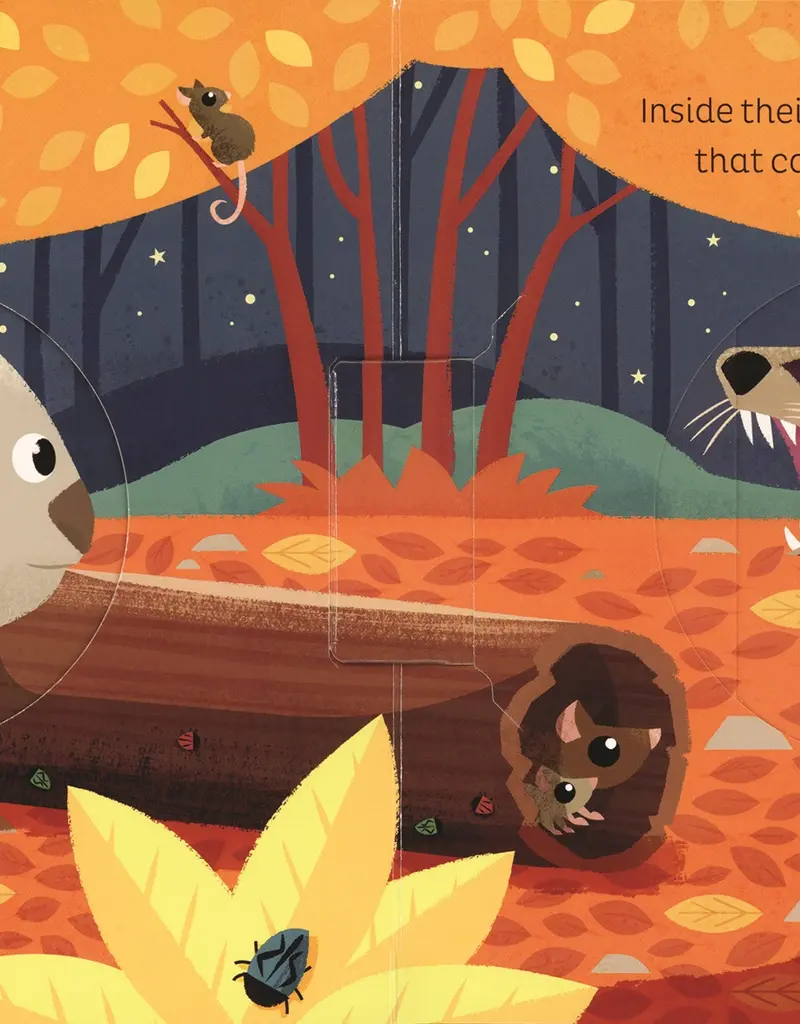 509 Broadway Animal Magic: In The Night