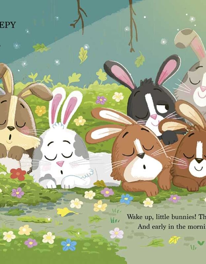 509 Broadway Bouncing Bunnies!