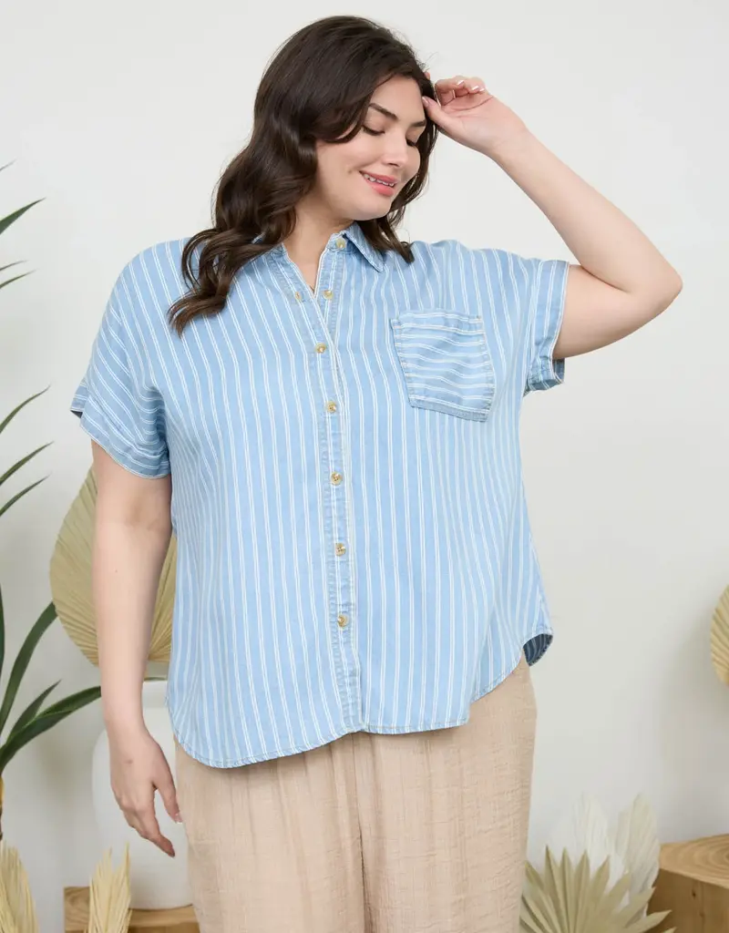 509 Broadway Plus Stripe Chambray Button Down