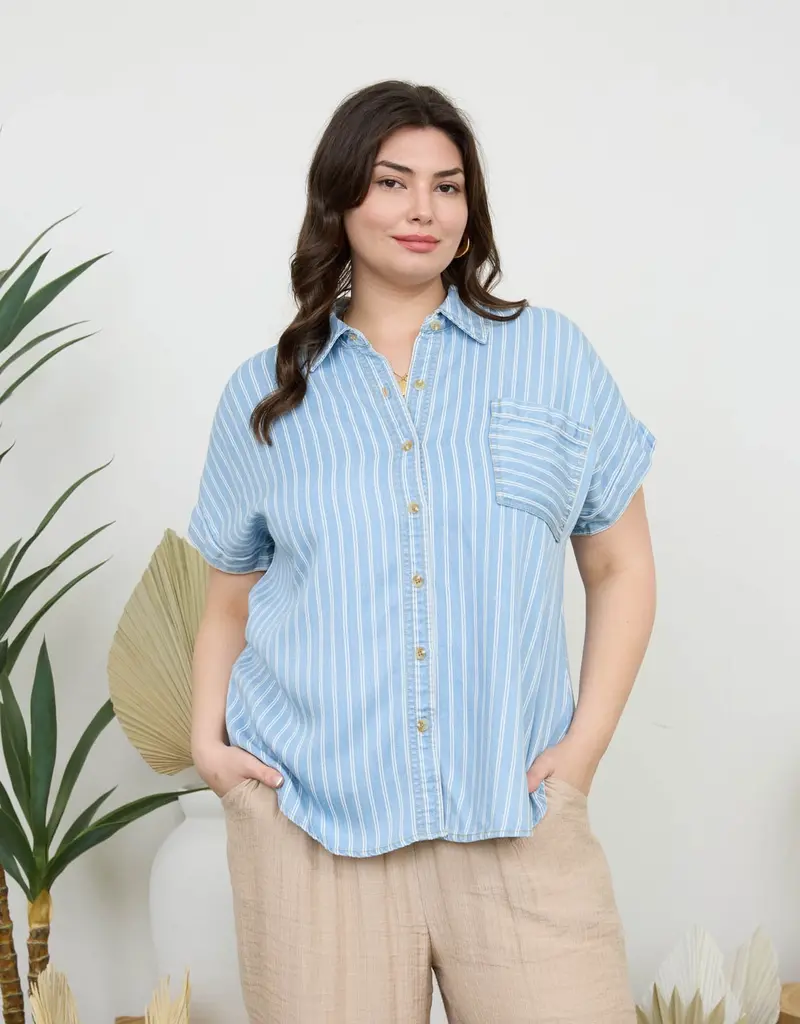 509 Broadway Plus Stripe Chambray Button Down