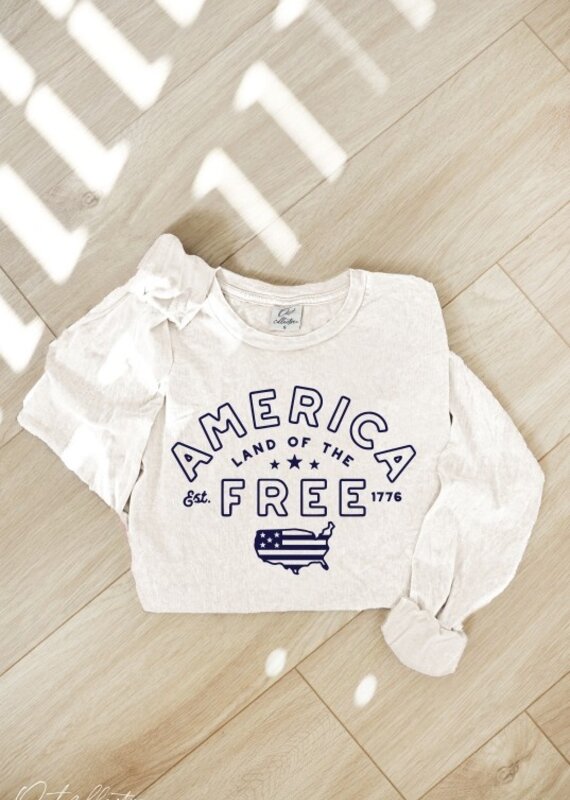 509 Broadway America Mineral Washed Long Sleeve Graphic