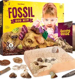 Dan & Darci Fossil Dig Kit