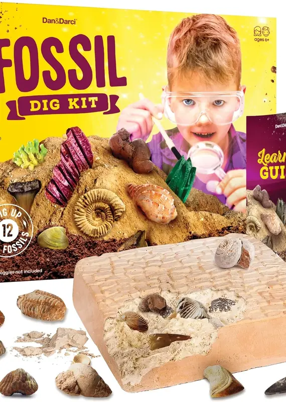 Dan & Darci Fossil Dig Kit