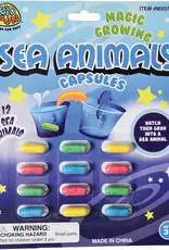 509 Broadway Magic Grow Capsules