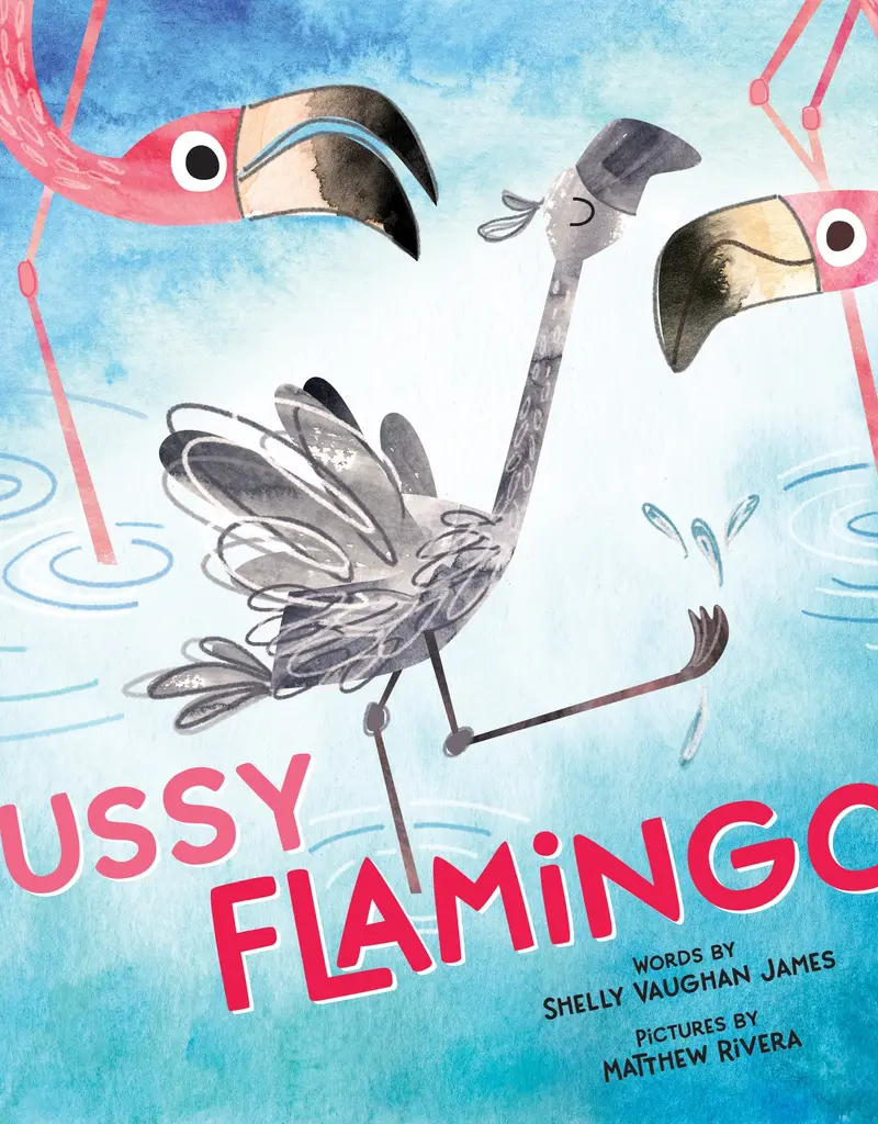 509 Broadway Fussy Flamingo