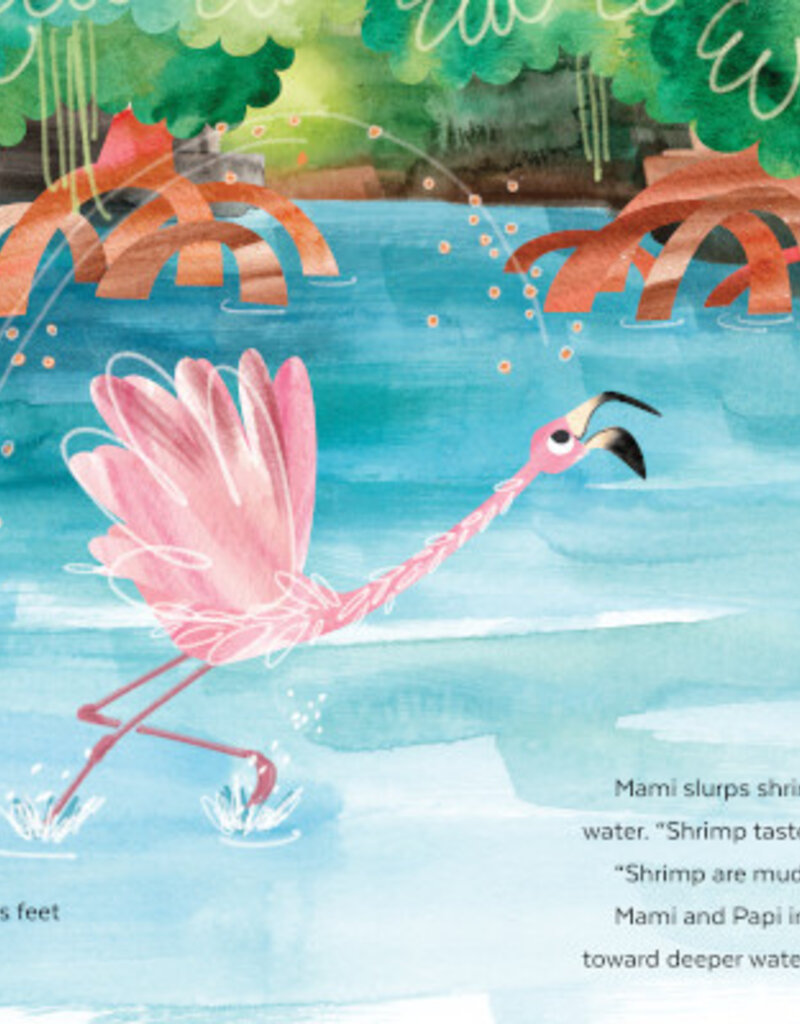 509 Broadway Fussy Flamingo