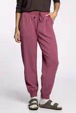 509 Broadway Caroline Jogger