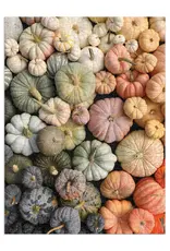 509 Broadway Heirloom Pumpkins 1000 Piece Puzzle
