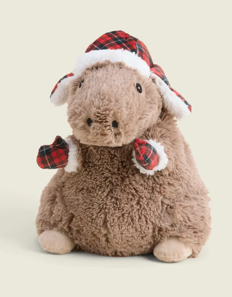 Warmies Cozy Capybara Warmies