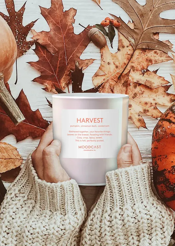 509 Broadway Mood Cast 8oz Candle