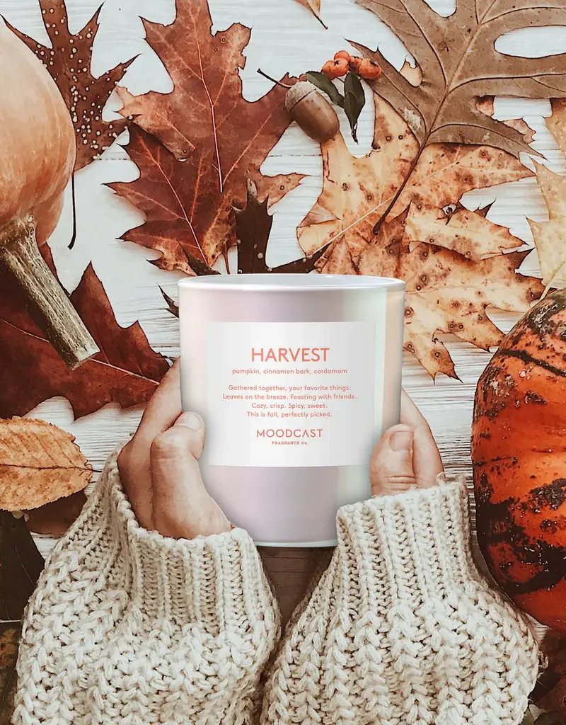 509 Broadway Mood Cast 8oz Candle