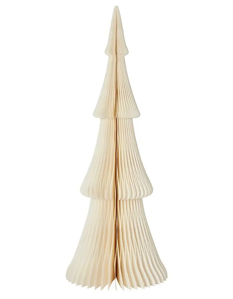509 Broadway Paper Tree Frasier Fir 24"  Warm White