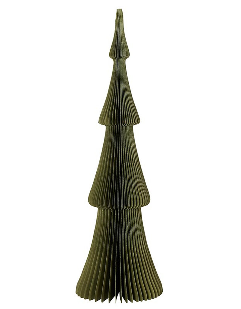 509 Broadway Paper Tree Frasier Fir 18" Green
