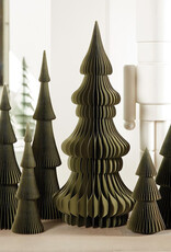 509 Broadway Paper Tree Frasier Fir 30" Green