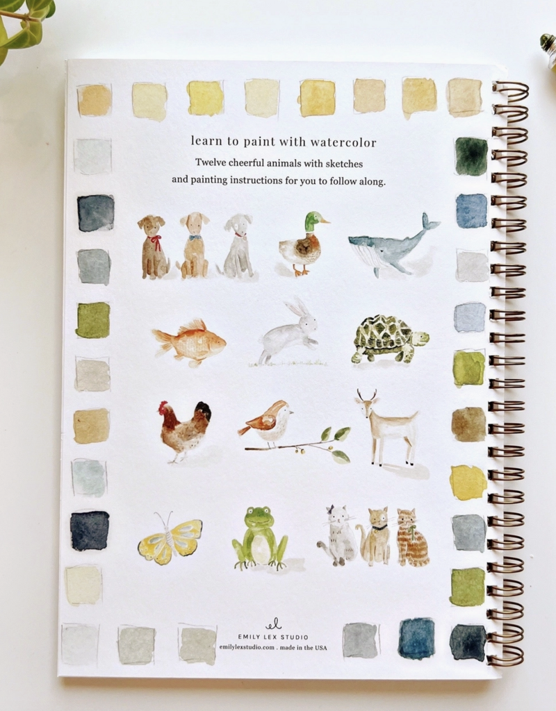 509 Broadway Watercolor Workbook