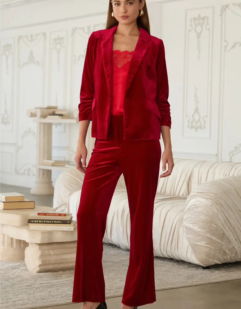 509 Broadway Button Detail Velvet Blazer