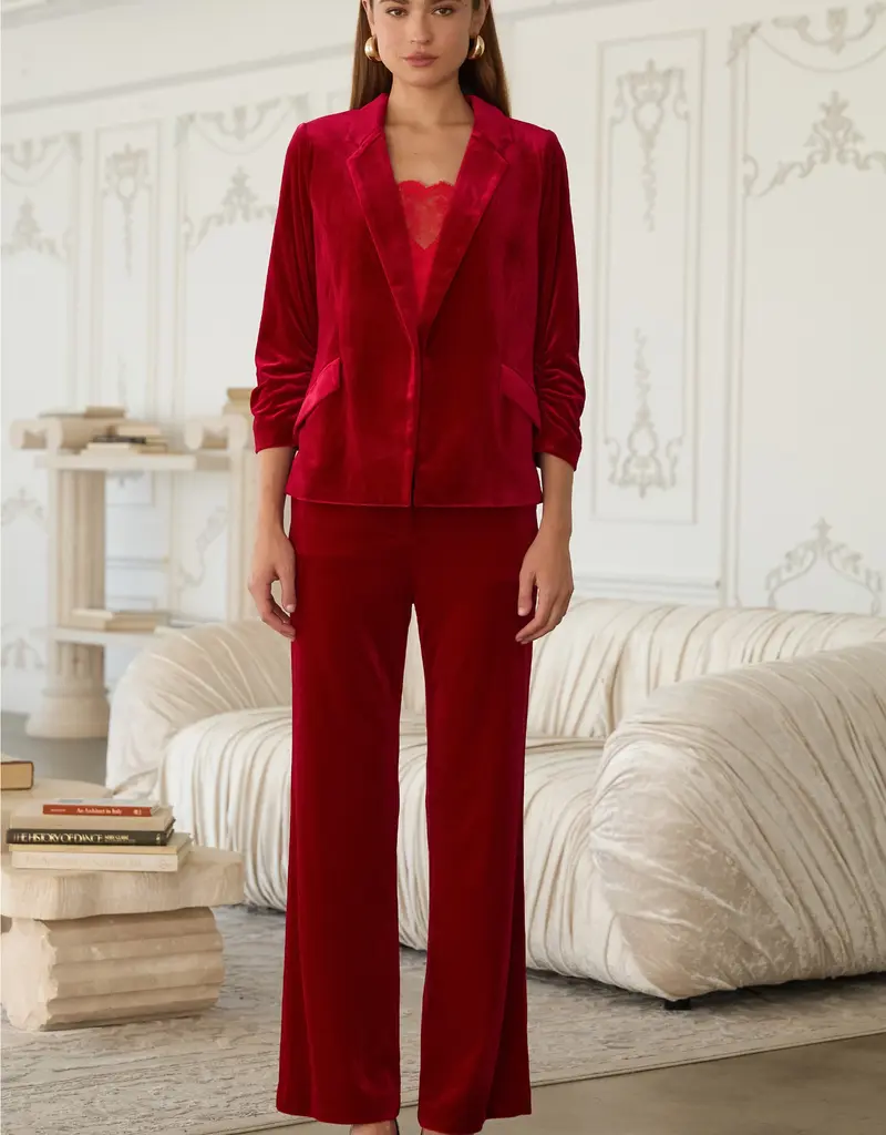 509 Broadway Button Detail Velvet Blazer