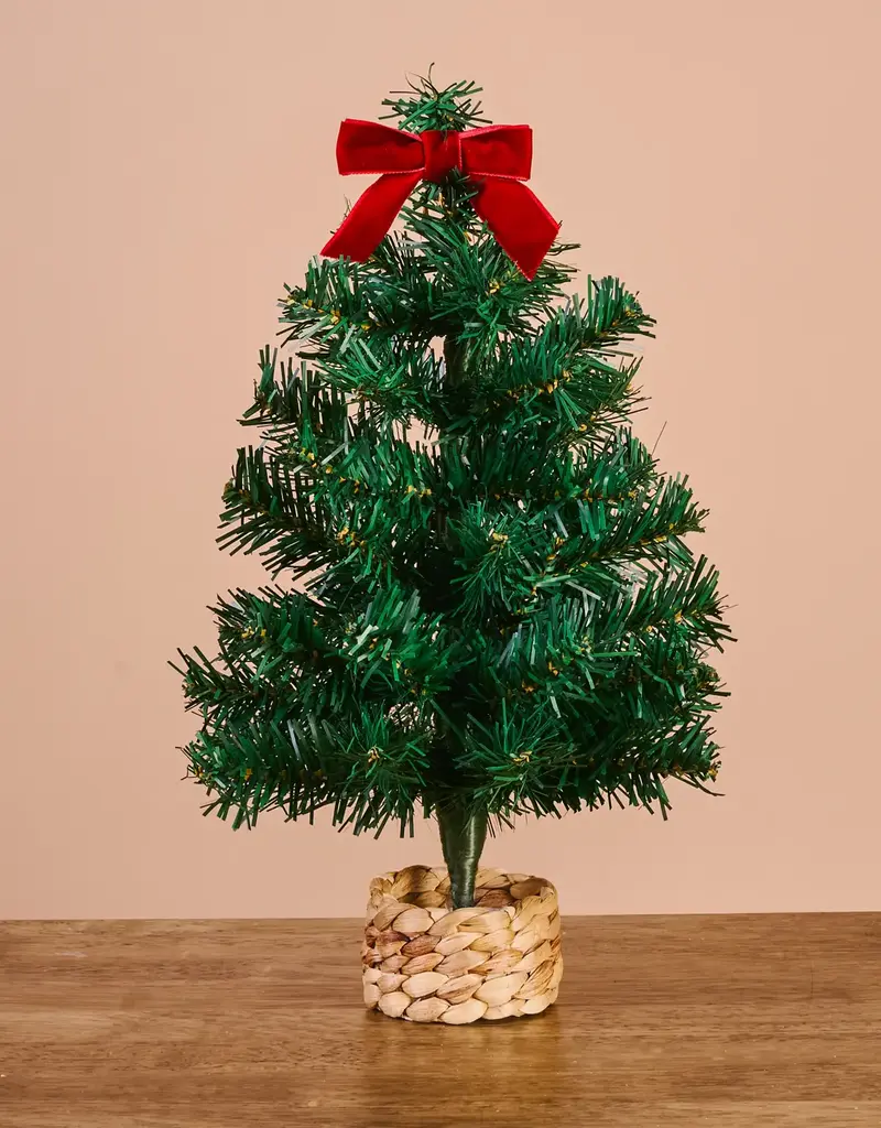 509 Broadway Mini Tree