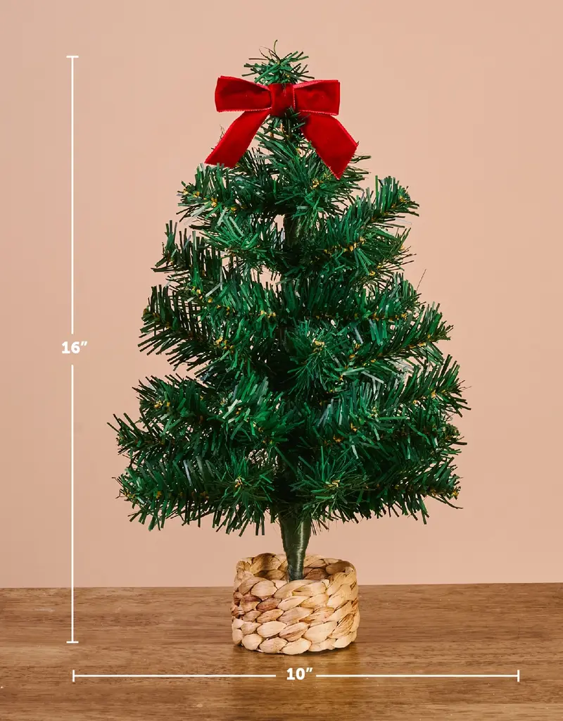 509 Broadway Mini Tree