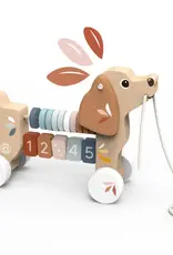 509 Broadway Puppy Pull Along