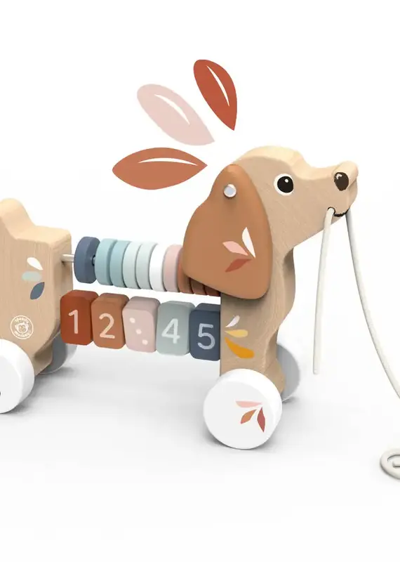 509 Broadway Puppy Pull Along