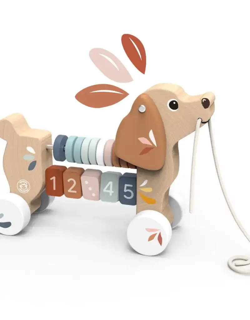 509 Broadway Puppy Pull Along