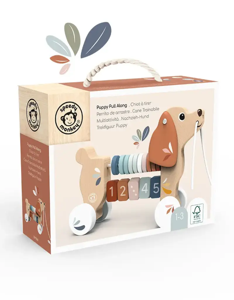 509 Broadway Puppy Pull Along