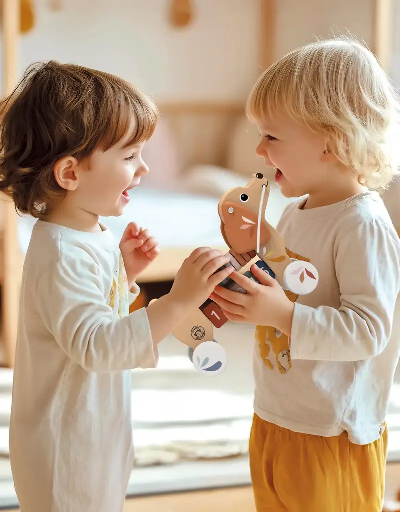 509 Broadway Puppy Pull Along