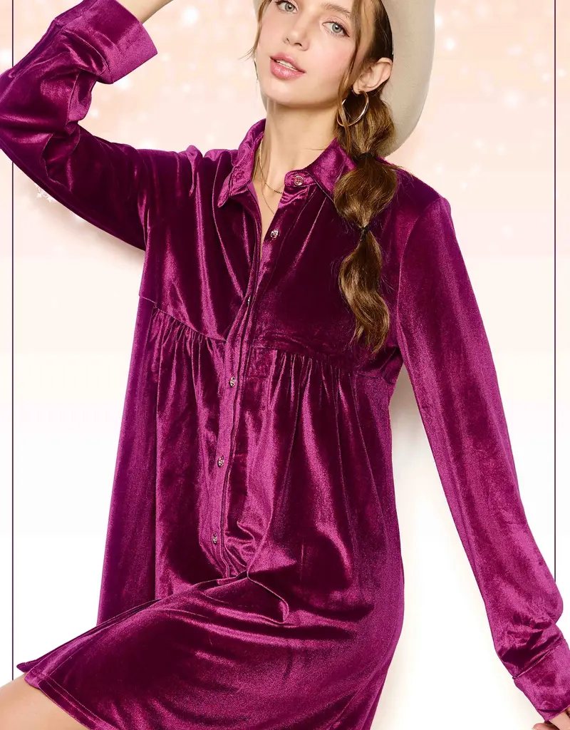 509 Broadway Velvet Button Down Collar Dress