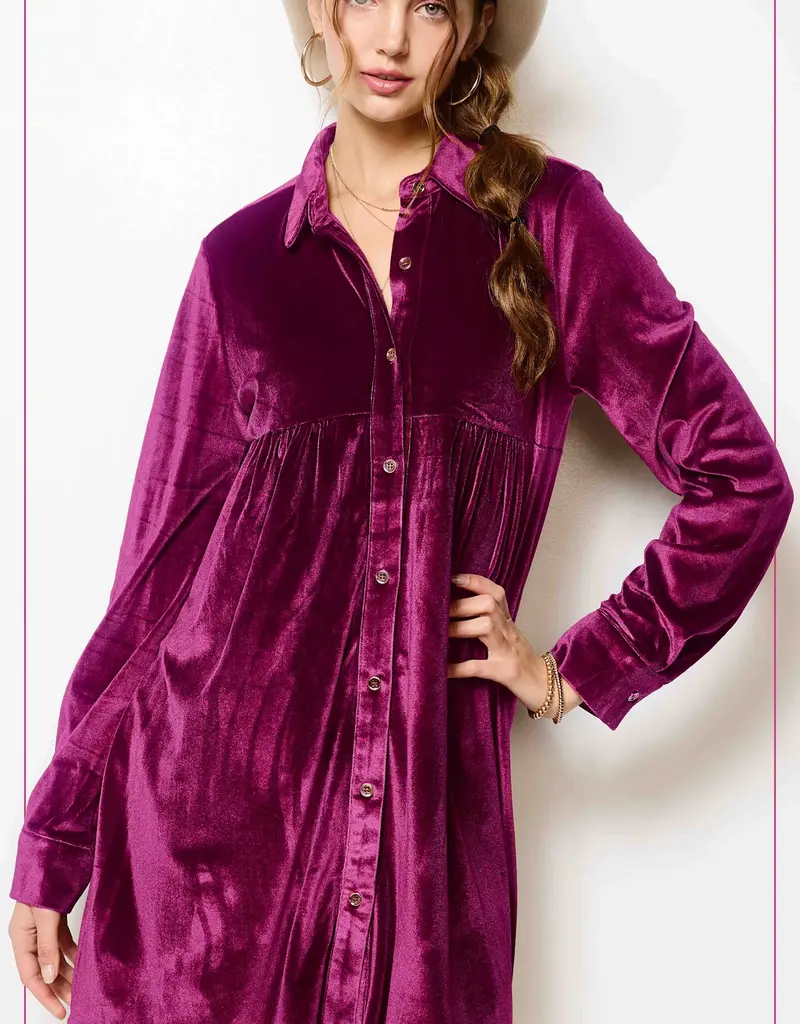 509 Broadway Velvet Button Down Collar Dress