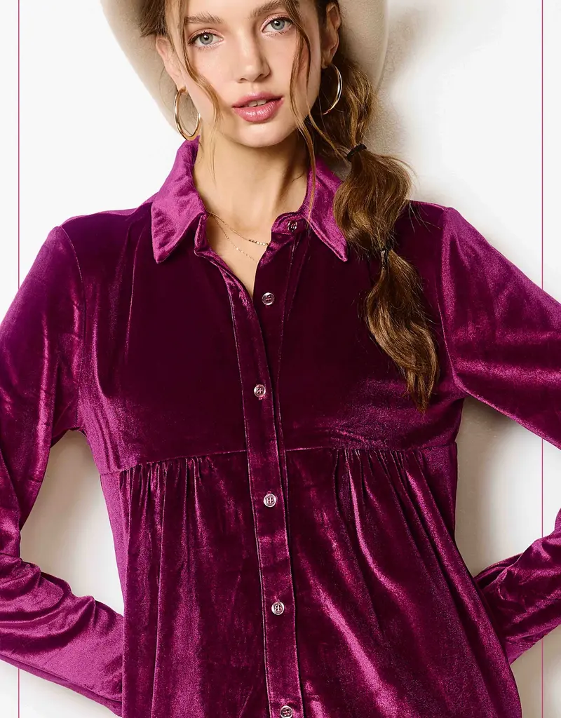509 Broadway Velvet Button Down Collar Dress