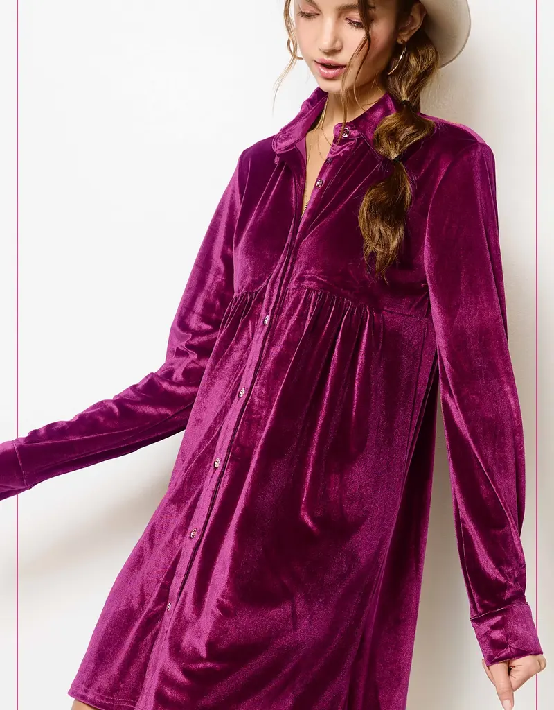 509 Broadway Velvet Button Down Collar Dress