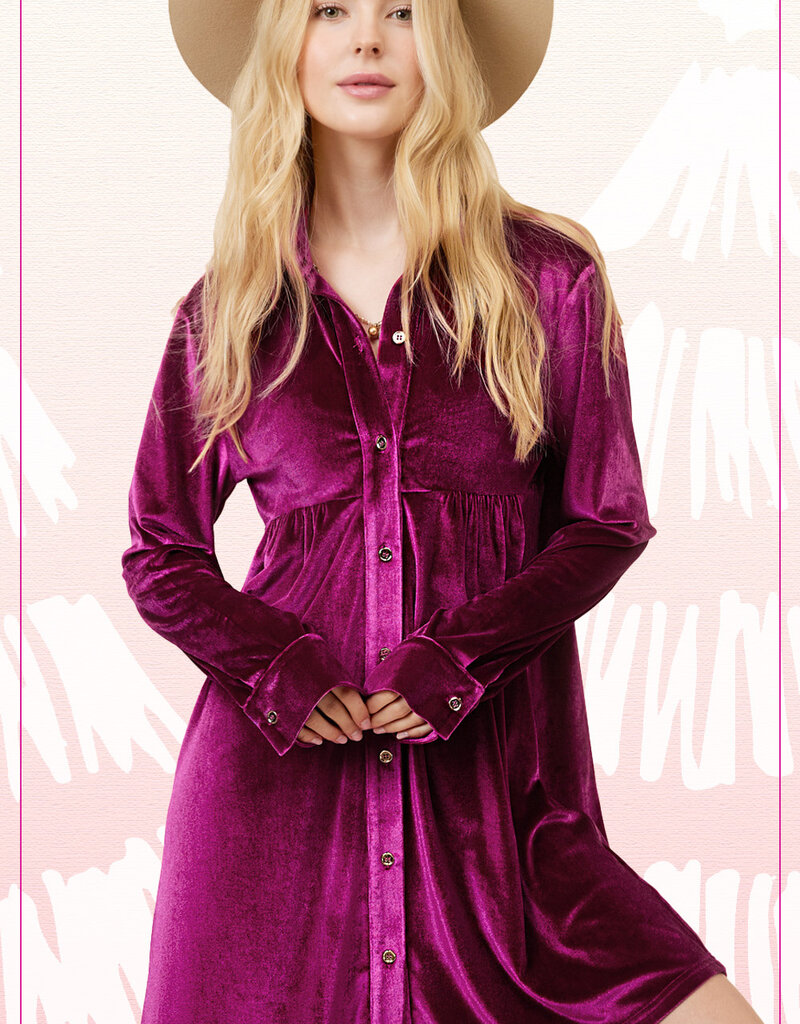 509 Broadway Velvet Button Down Collar Dress