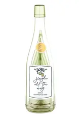 509 Broadway Acrylic Champagne Glass Set