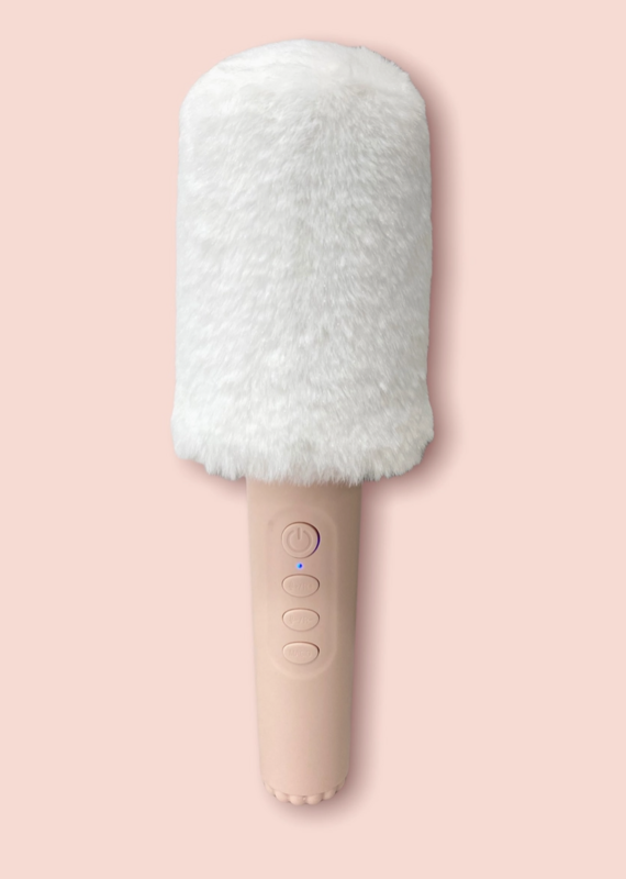 509 Broadway Karaoke Microphone Voice Changer