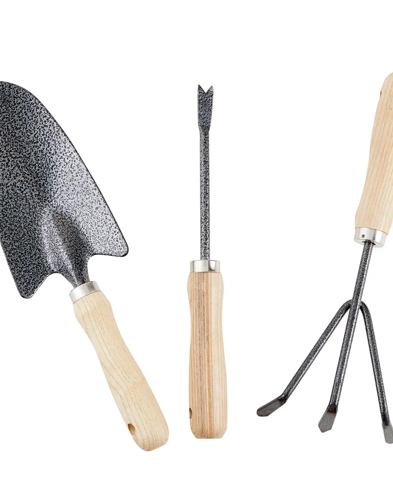 509 Broadway Garden Tool Book Box