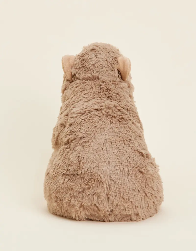 Warmies Capybara  Warmies |Plush|