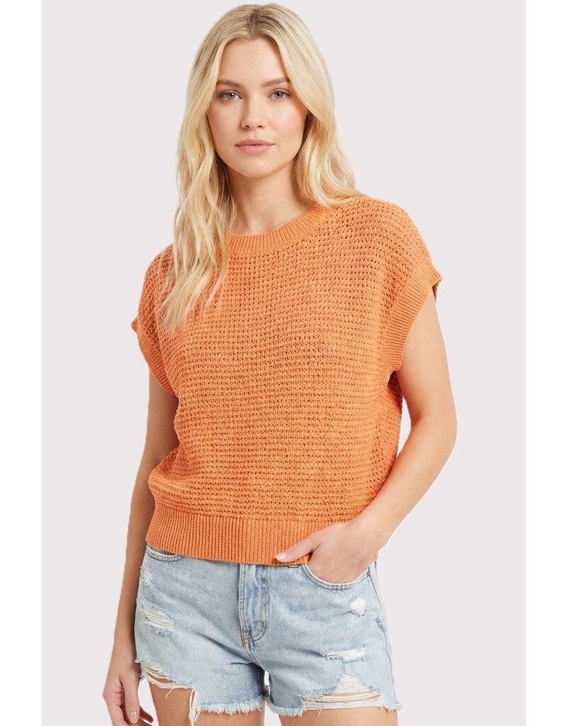 509 Broadway Open Weaved S/S Sweater