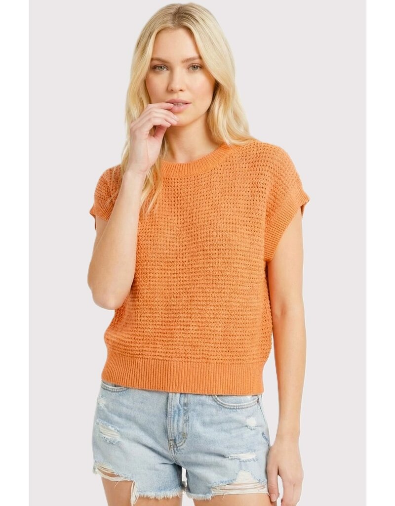 509 Broadway Open Weaved S/S Sweater