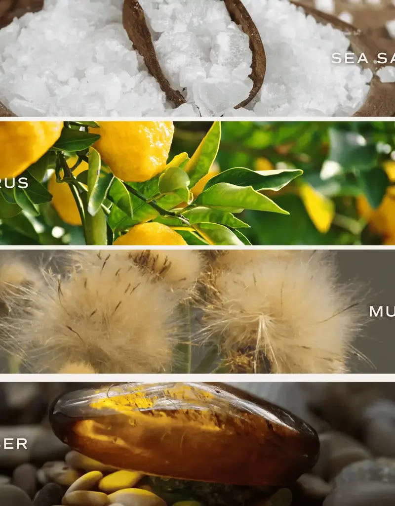 509 Broadway Playing Mahjong with Mah Girls 15 oz Soy Candle