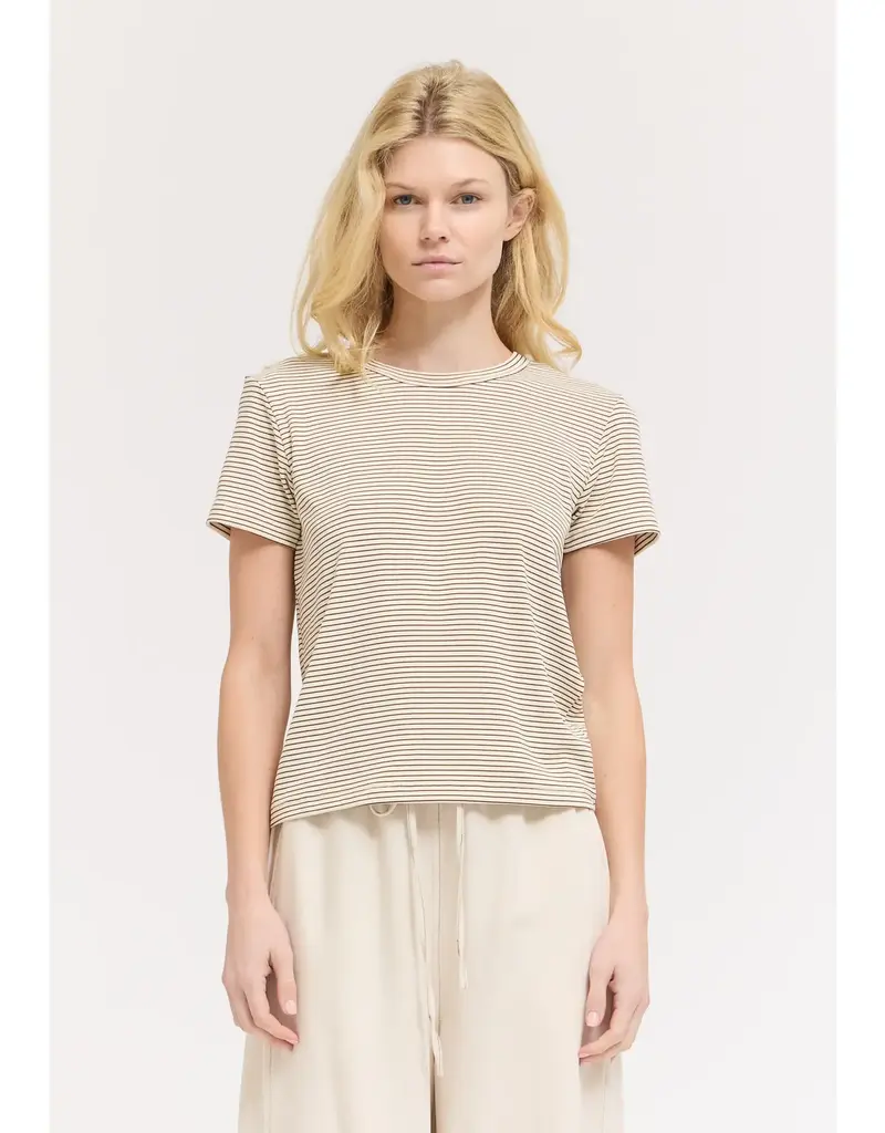 509 Broadway Standard Fit Stripe Cotton T Shirt