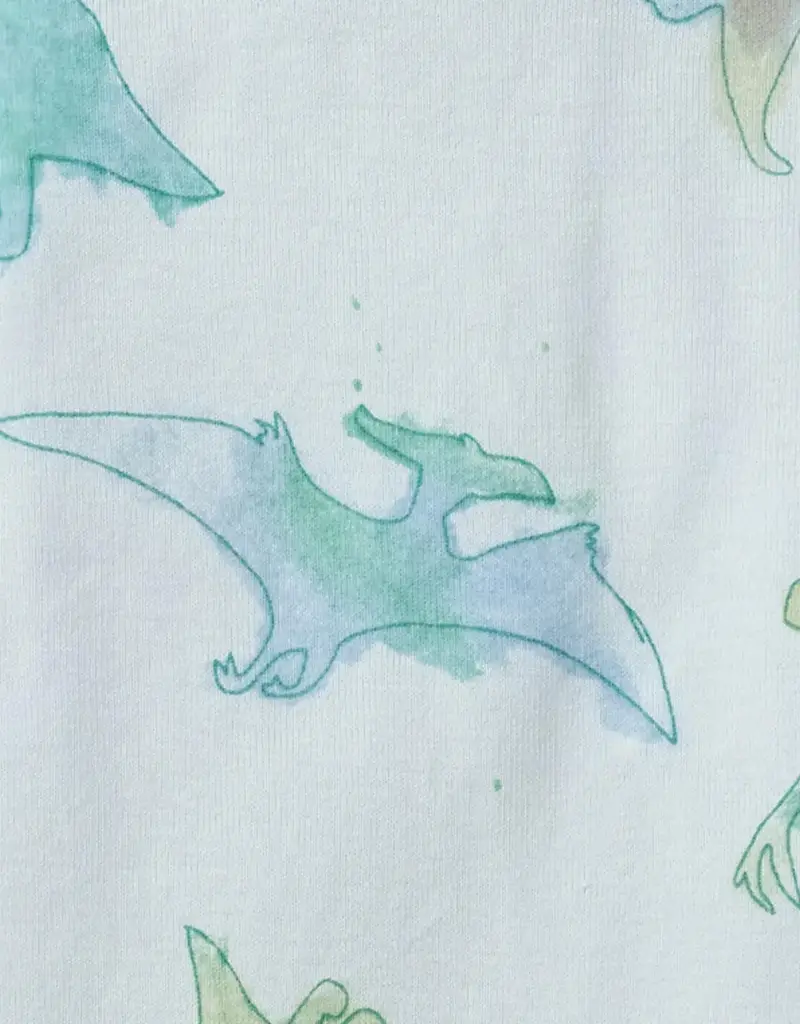 509 Broadway Watercolor Dino Baby Romper