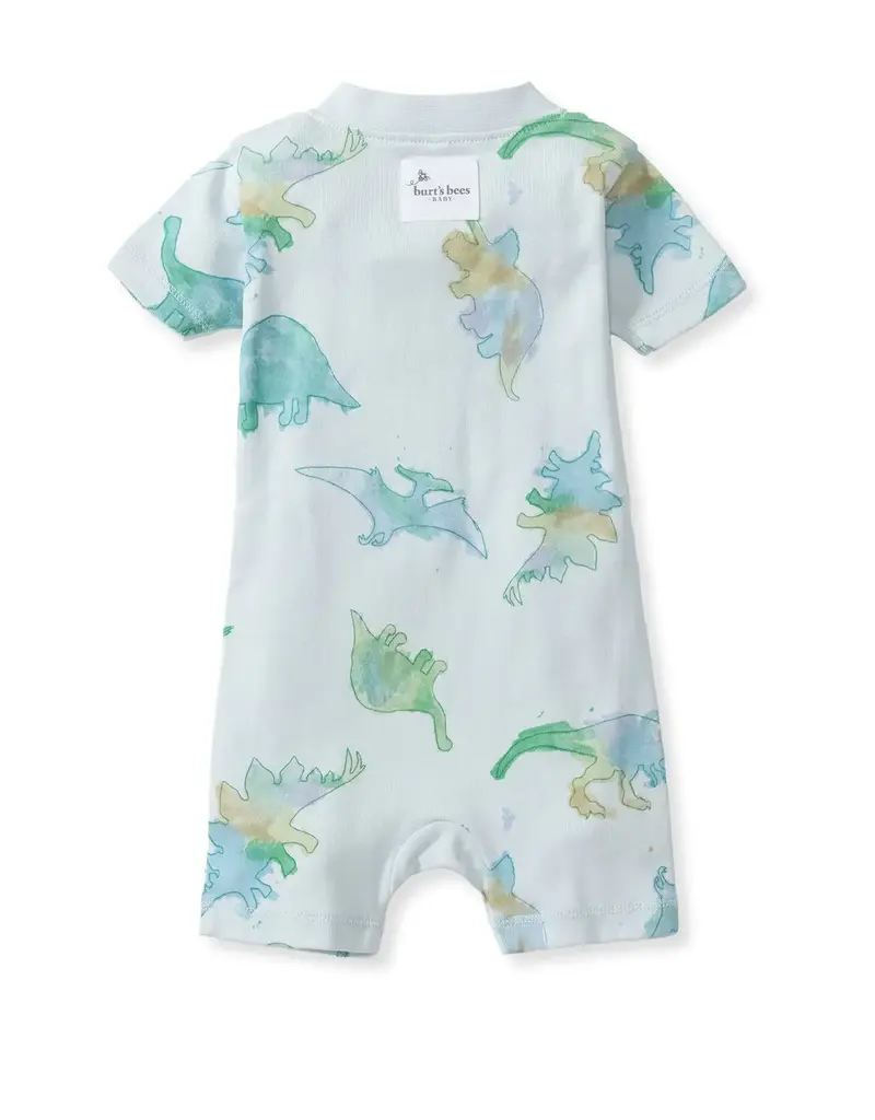 509 Broadway Watercolor Dino Baby Romper